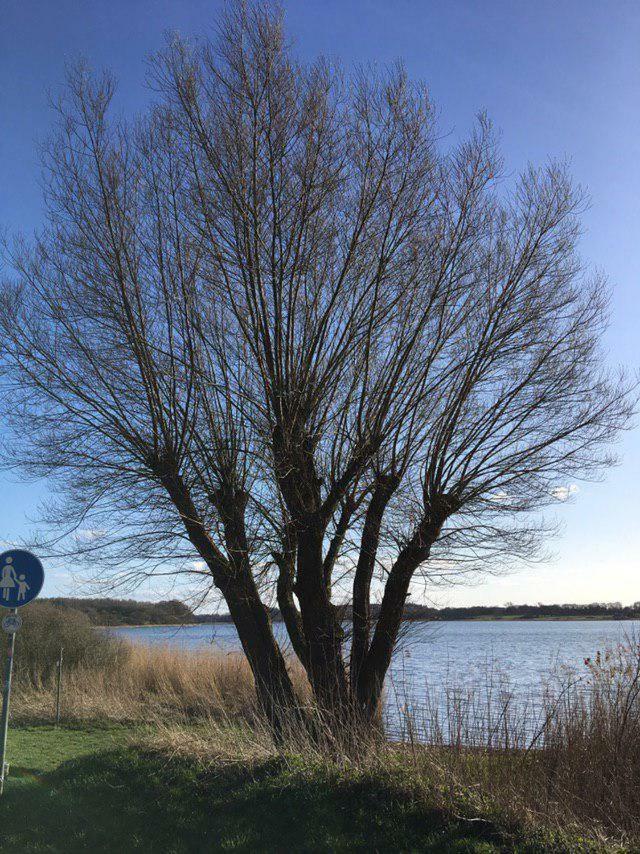 Ferienwohnung Am Noor Nahe Schleswig Und Dem Wikingerdorf Haithabu Fahrdorf  エクステリア 写真