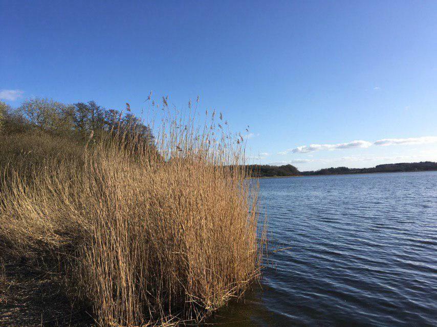 Ferienwohnung Am Noor Nahe Schleswig Und Dem Wikingerdorf Haithabu Fahrdorf  エクステリア 写真