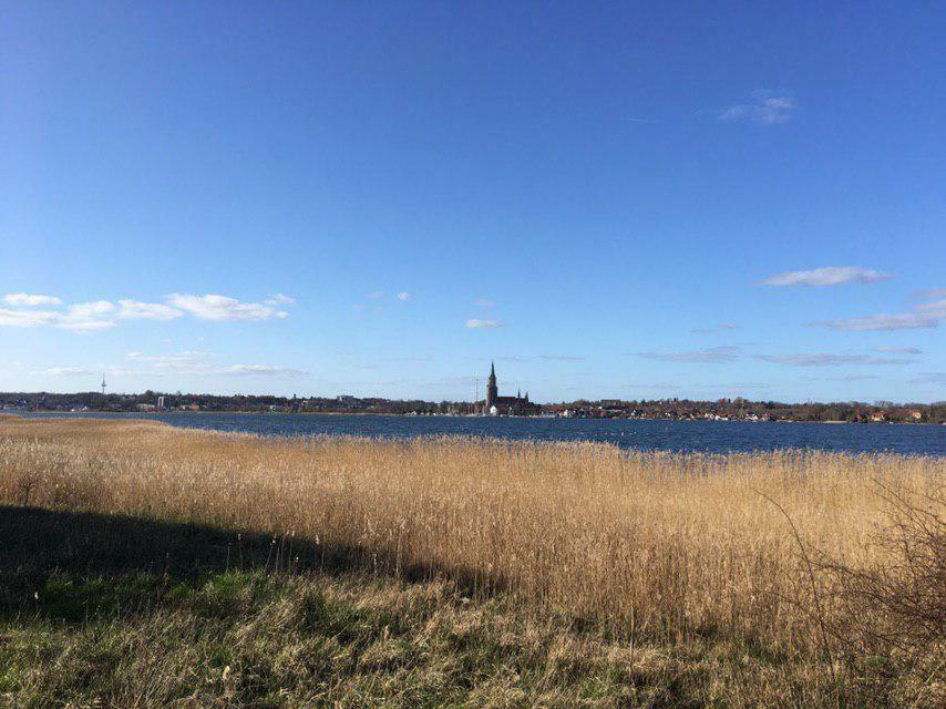 Ferienwohnung Am Noor Nahe Schleswig Und Dem Wikingerdorf Haithabu Fahrdorf  エクステリア 写真